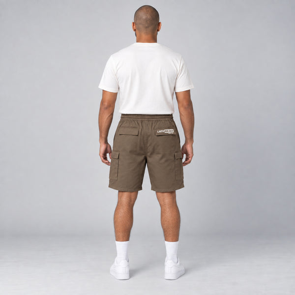 Supply Co. Cargo Shorts 19" — studio-rear